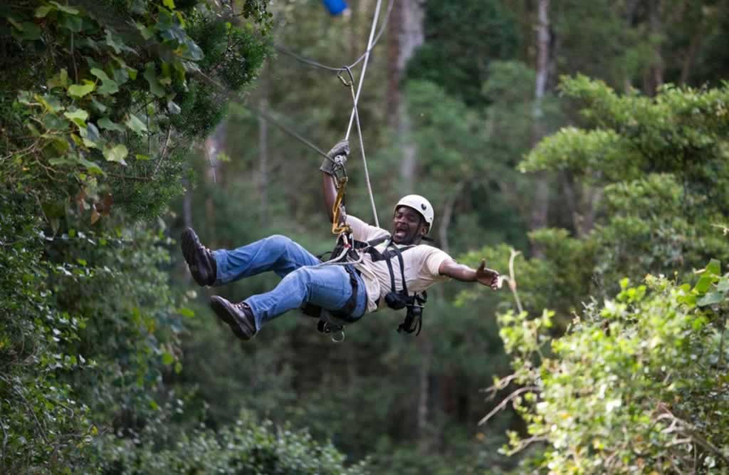 Tsitsikamma Canopy Tours
